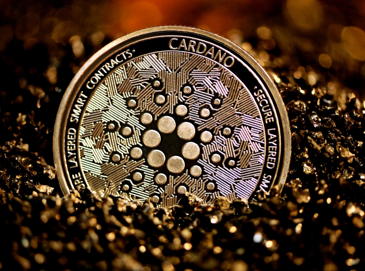 Cardano creator prepares rally in support of crypto industry