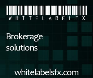 White labels FX metatrader solution provider
